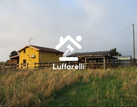 Immagine di COMPENDIO  VIA DELL’ULIVO GINNETTI – VELLETRI