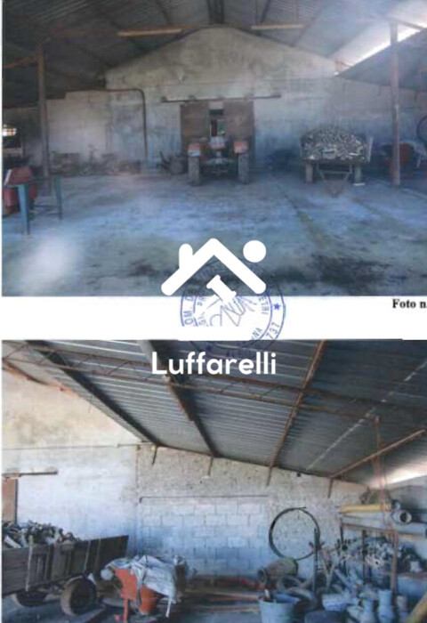 Immagine di COMPENDIO AGRICOLO VIA MIGLIARA  – TERRACINA
