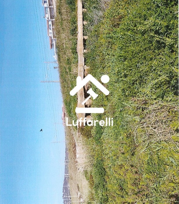Immagine di TERRENO VIA AURELIA KM . – SANTA MARINELLA