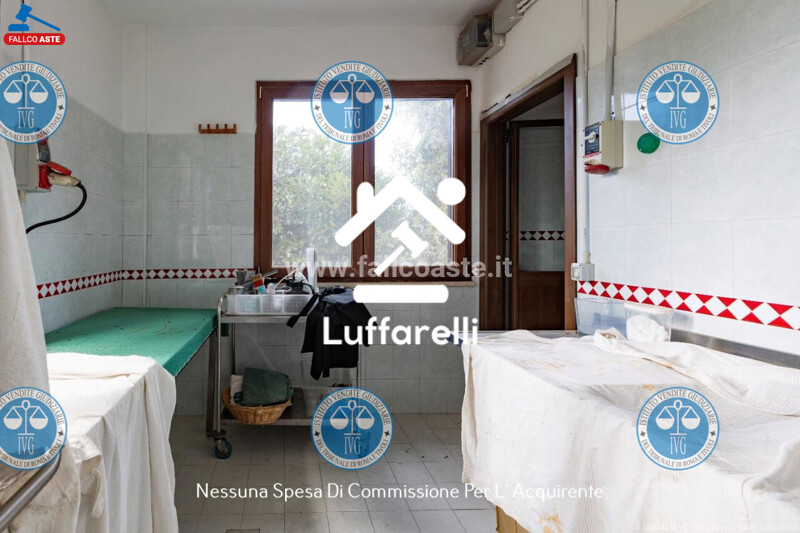 Immagine di CIELOTERRA VIA COLLE PASTINO  – PALESTRINA