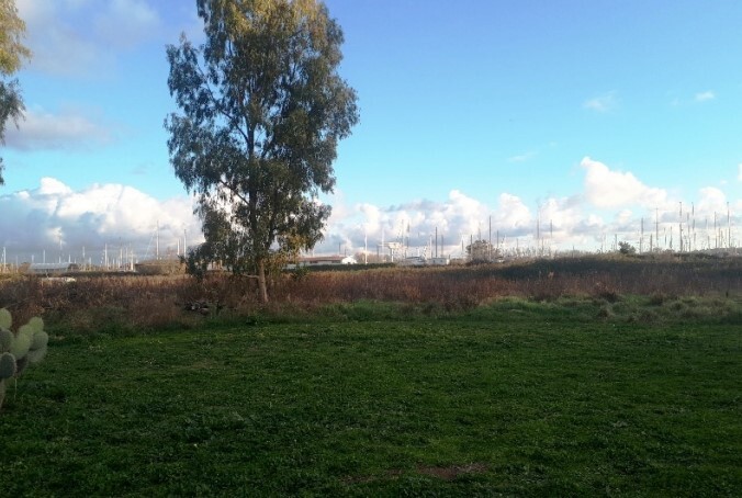 Immagine di TERRENO LOCALITÀ  ISOLA SACRA  VIA CASTAGNEVIZZA  – FIUMICINO