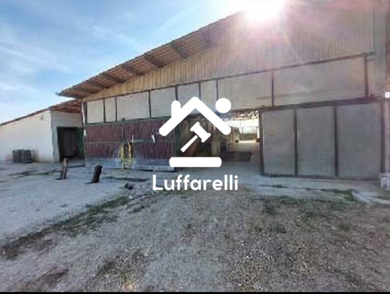 Immagine di TERRENO LOCALITÀ MACCHIONE ROTONDO – ROMA