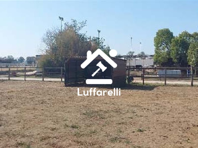 Immagine di TERRENO LOCALITÀ MACCHIONE ROTONDO – ROMA