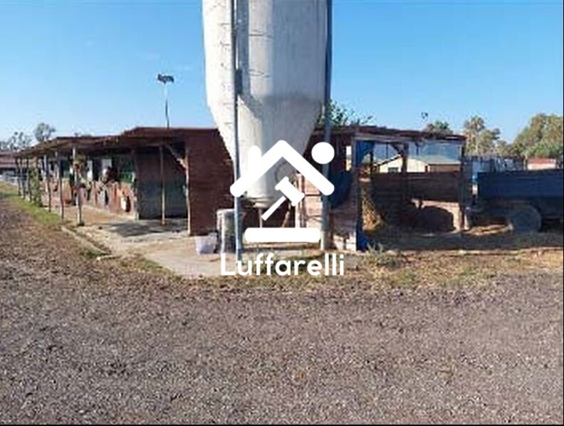 Immagine di TERRENO LOCALITÀ MACCHIONE ROTONDO – ROMA