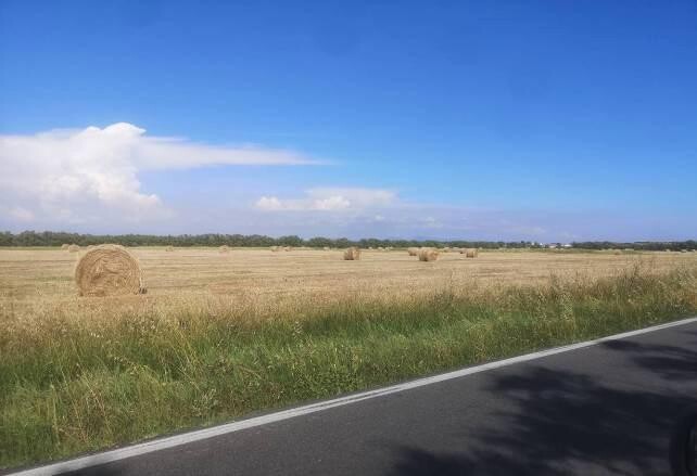 Immagine di TERRENO VIA IDRA – FIUMICINO