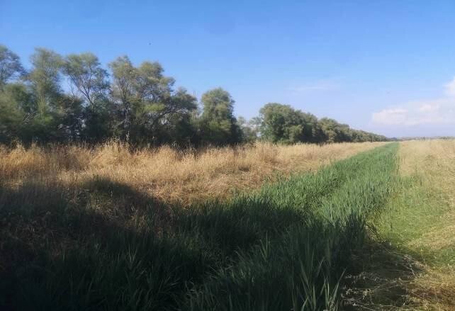 Immagine di TERRENO VIA IDRA – FIUMICINO