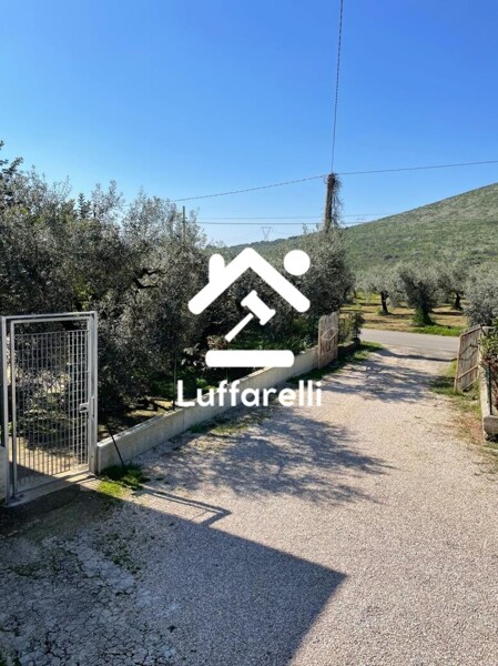 APPARTAMENTO VIA CERIARA - SEZZE — foto 4