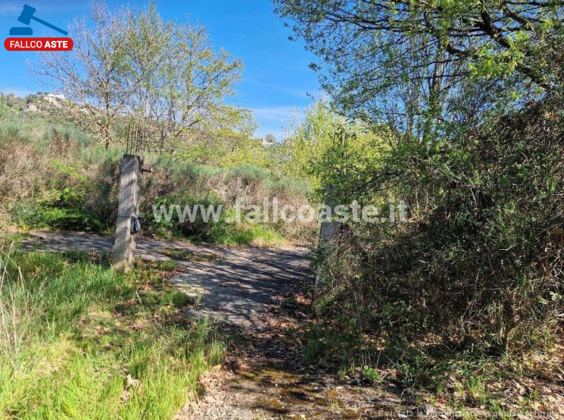 Immagine di CASA / VILLA CONTRADA FRATTAROSSA SNC – OLEVANO ROMANO