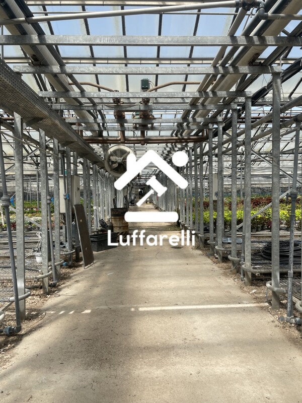 Immagine di AZIENDA AGRICOLA VIA MIGLIARA – PONTINIA (LT)