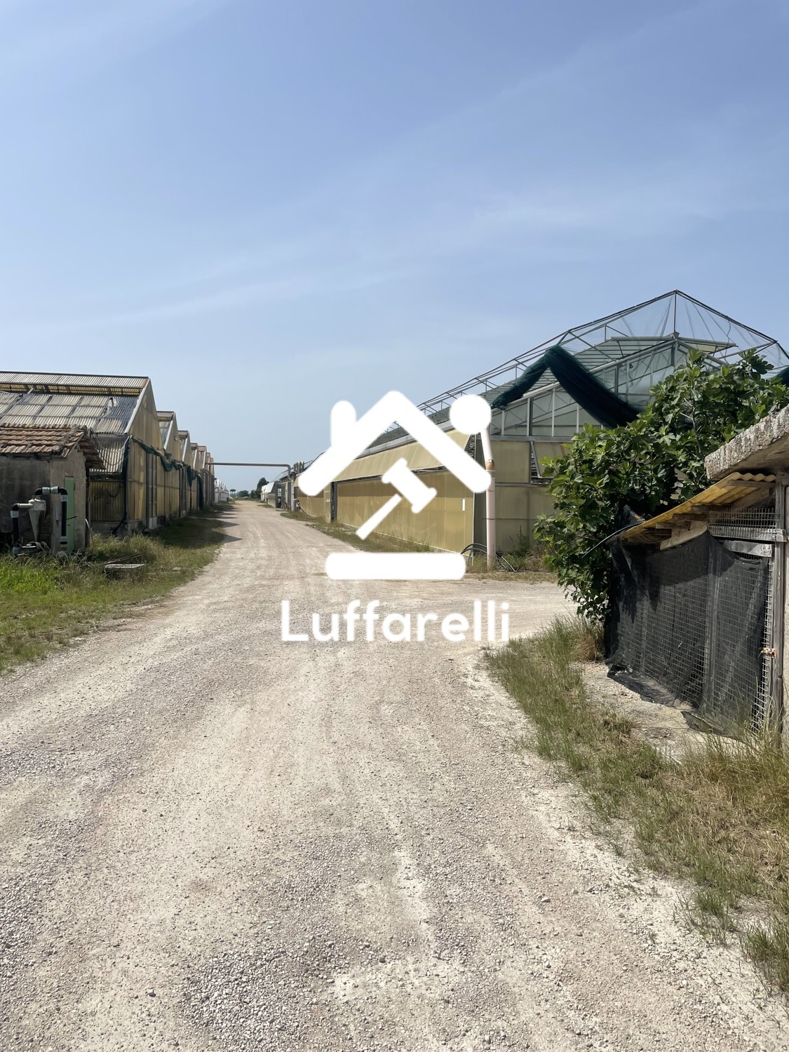 AZIENDA AGRICOLA VIA MIGLIARA - PONTINIA (LT) — foto 5