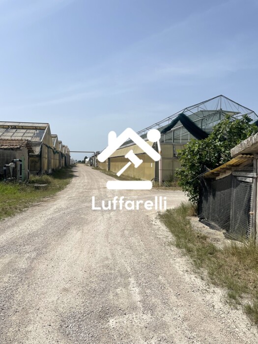 Immagine di AZIENDA AGRICOLA VIA MIGLIARA – PONTINIA (LT)