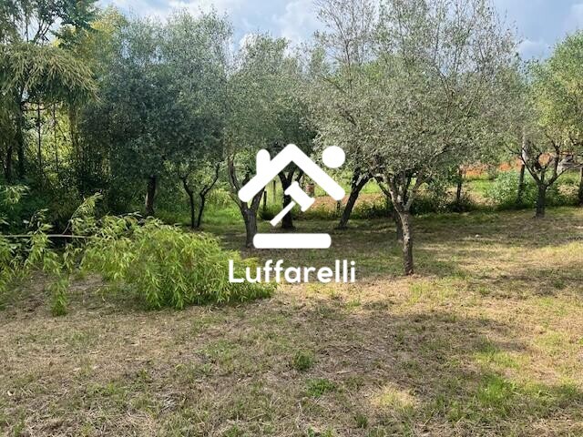 APPARTAMENTO VIA ARASCIARRA SNC - MONTE SAN GIOVANNI CAMPANO — foto 9