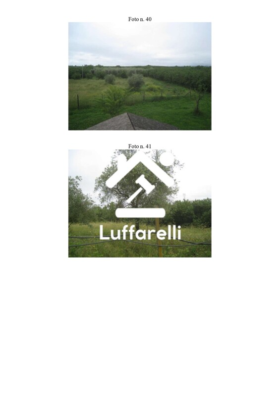 Immagine di GARAGE / POSTO AUTO STRADA DEL POGGIO SNC – VASANELLO