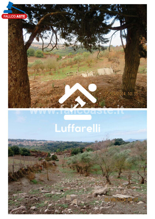 Immagine di FABBRICATO STRADA DELLA SARNACCHIOLA – CAMPAGNANO DI ROMA