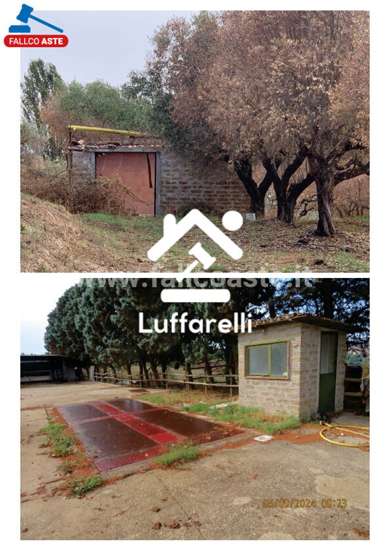 Immagine di FABBRICATO STRADA DELLA SARNACCHIOLA – CAMPAGNANO DI ROMA