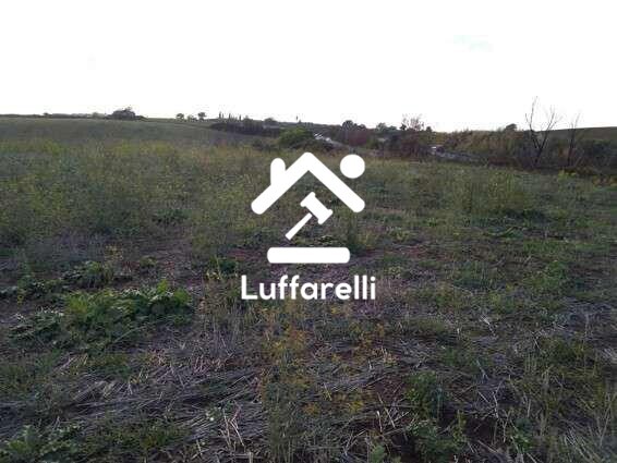 Immagine di TERRENO VIA CASAL BIANCO – GUIDONIA MONTECELIO