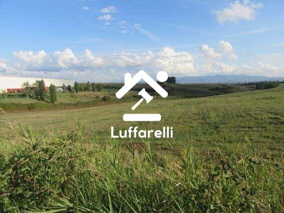 TERRENO VIA CASAL BIANCO - GUIDONIA MONTECELIO — foto 9