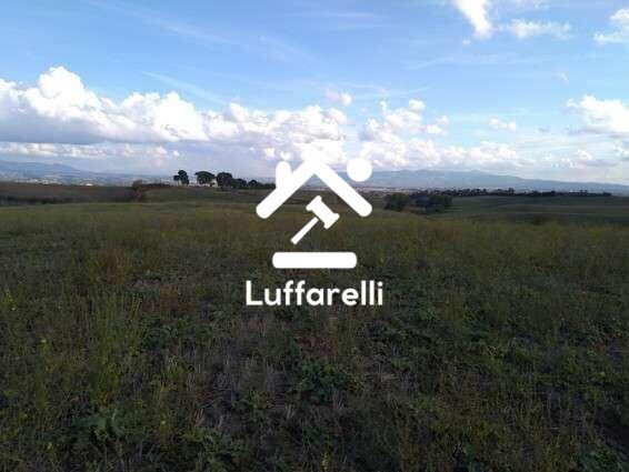 Immagine di TERRENO VIA CASAL BIANCO – GUIDONIA MONTECELIO