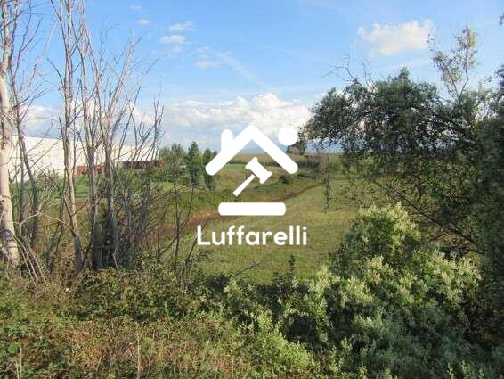 Immagine di TERRENO VIA CASAL BIANCO – GUIDONIA MONTECELIO