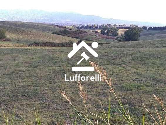 Immagine di TERRENO VIA CASAL BIANCO – GUIDONIA MONTECELIO