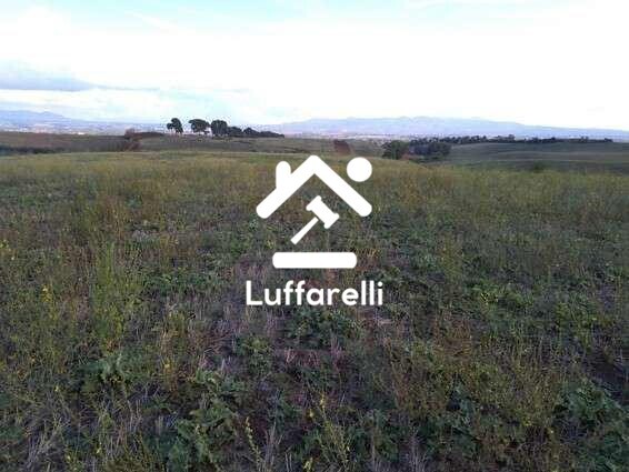 Immagine di TERRENO VIA CASAL BIANCO – GUIDONIA MONTECELIO