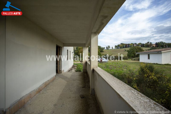 TERRENO PIAN DELLA CASA SNC - CIVITELLA SAN PAOLO — foto 9