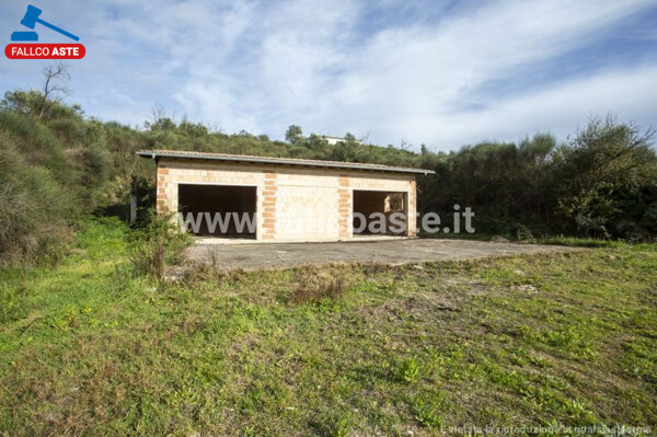 TERRENO PIAN DELLA CASA SNC - CIVITELLA SAN PAOLO — foto 6