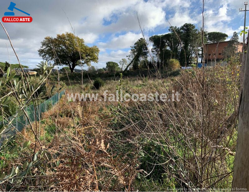 Immagine di TERRENO VIA DEL SALVATORE SNC – CAMPAGNANO DI ROMA