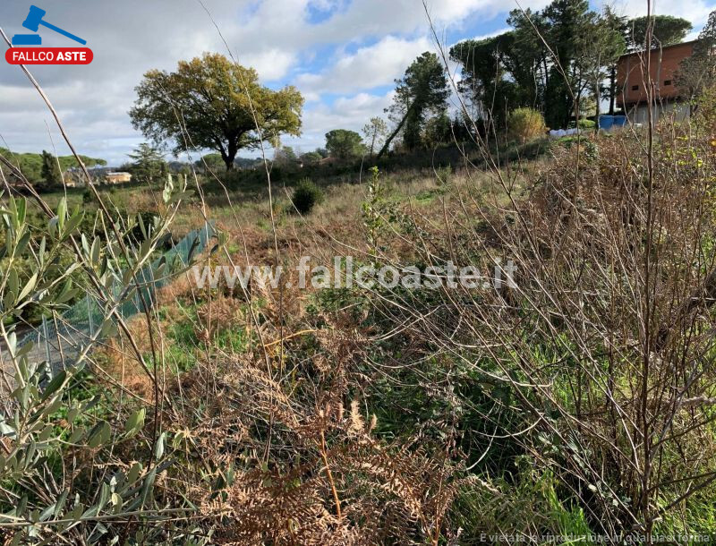 Immagine di TERRENO VIA DEL SALVATORE SNC – CAMPAGNANO DI ROMA