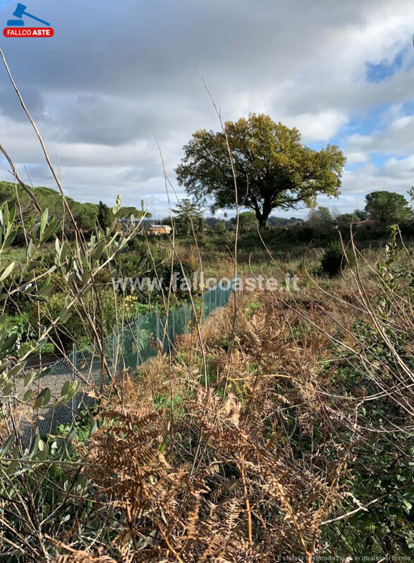 Immagine di TERRENO VIA DEL SALVATORE SNC – CAMPAGNANO DI ROMA
