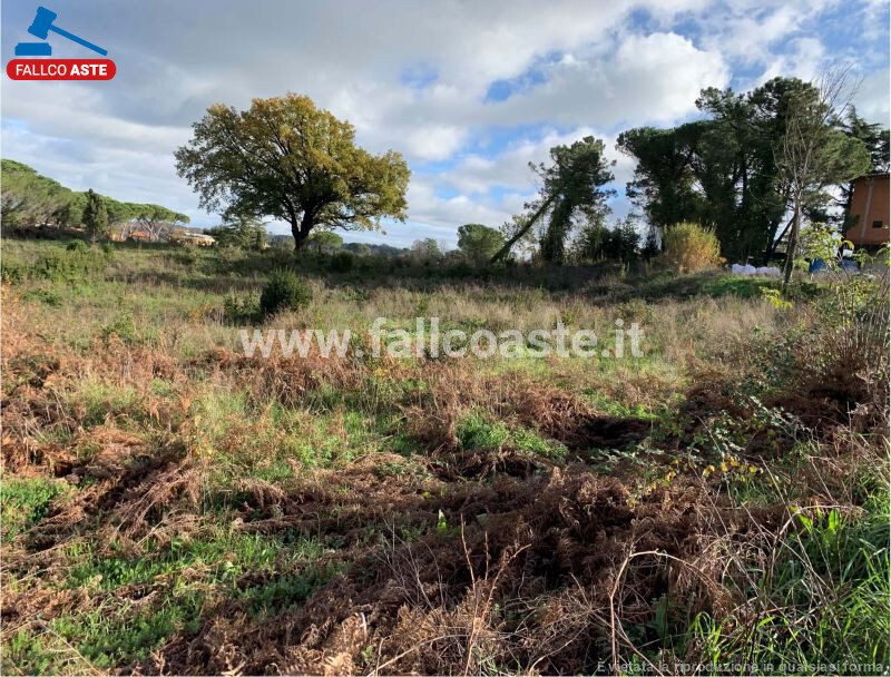 Immagine di TERRENO VIA DEL SALVATORE SNC – CAMPAGNANO DI ROMA