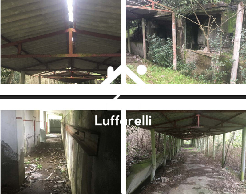 Immagine di CAPANNONE / IMMOBILI INDUSTRIALI VIA PIANO ROSSO – CISTERNA DI LATINA