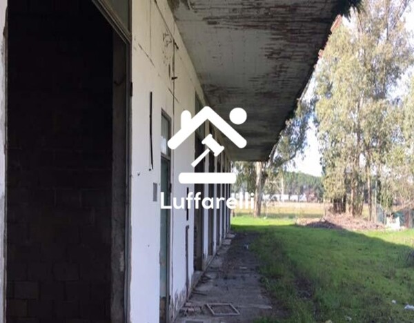 CAPANNONE / IMMOBILI INDUSTRIALI VIA PIANO ROSSO - CISTERNA DI LATINA — foto 3