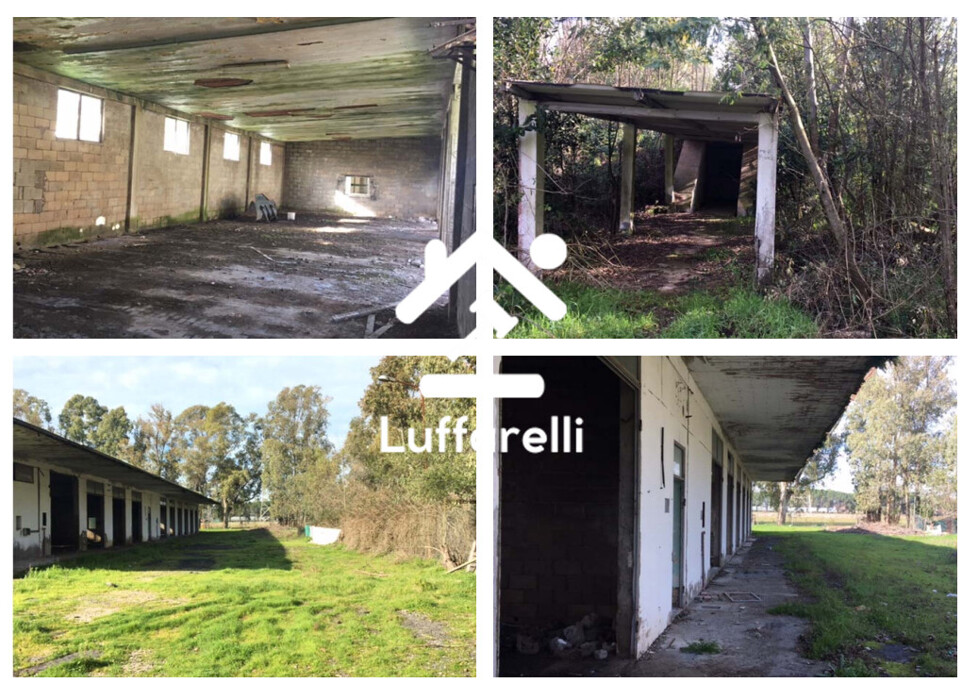 Immagine di CAPANNONE / IMMOBILI INDUSTRIALI VIA PIANO ROSSO – CISTERNA DI LATINA