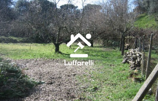 Immagine di TERRENO VIA ROMANA N. 14 – CIAMPINO