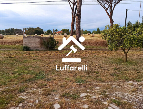 Immagine di CASA / VILLA STRADA NASCOSA N. 5424 – LATINA