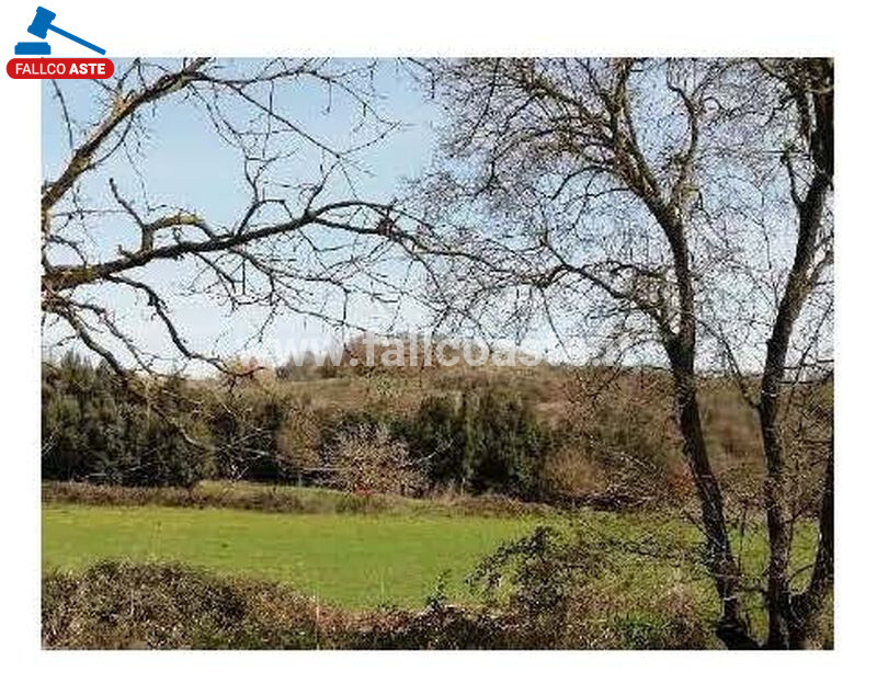 Immagine di TERRENO VIA DI GROTTAROSSA – ROMA