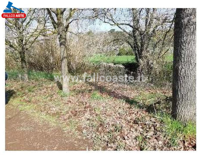 Immagine di TERRENO VIA DI GROTTAROSSA – ROMA
