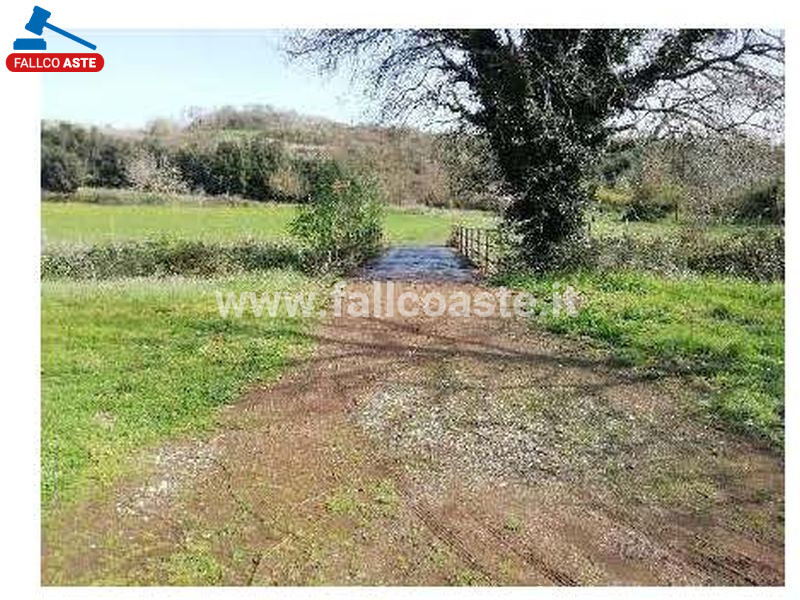 Immagine di TERRENO VIA DI GROTTAROSSA – ROMA