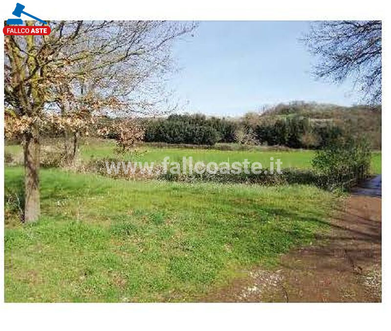 Immagine di TERRENO VIA DI GROTTAROSSA – ROMA