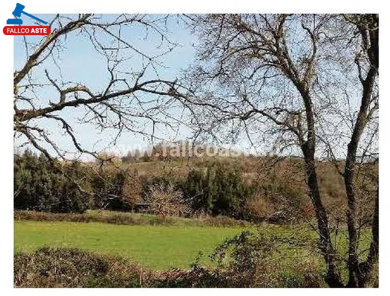 Immagine di TERRENO VIA DI GROTTAROSSA – ROMA