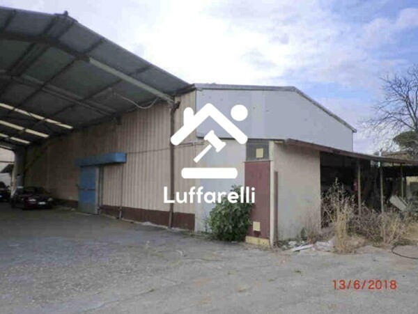 CAPANNONE / IMMOBILI INDUSTRIALI VIA DEL CASALE PAOLONI - ROMA — foto 3