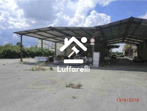 CAPANNONE / IMMOBILI INDUSTRIALI VIA DEL CASALE PAOLONI - ROMA — foto 8