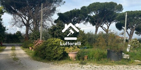 Immagine di CASA / VILLA VIA APPIA SUD – VELLETRI