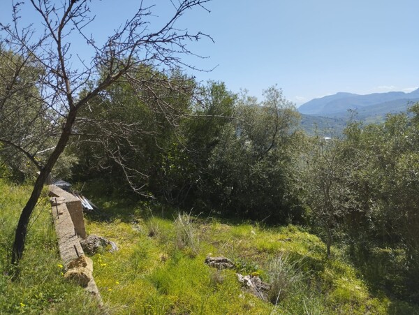 TERRENO CONTRADA MONTAGNA GRANDE - MISILMERI — foto 5