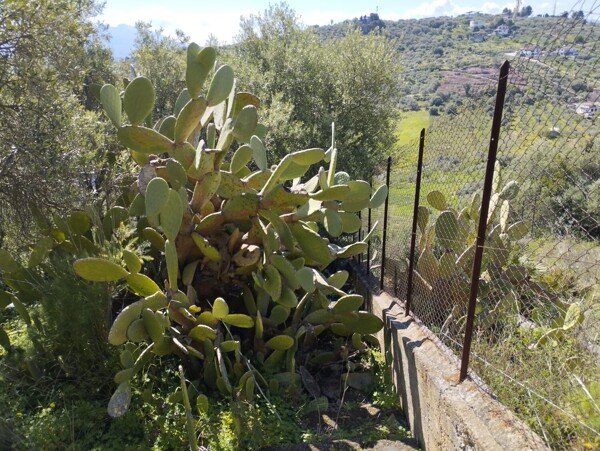 TERRENO CONTRADA MONTAGNA GRANDE - MISILMERI — foto 3