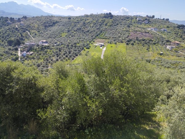 TERRENO CONTRADA MONTAGNA GRANDE - MISILMERI — foto 2