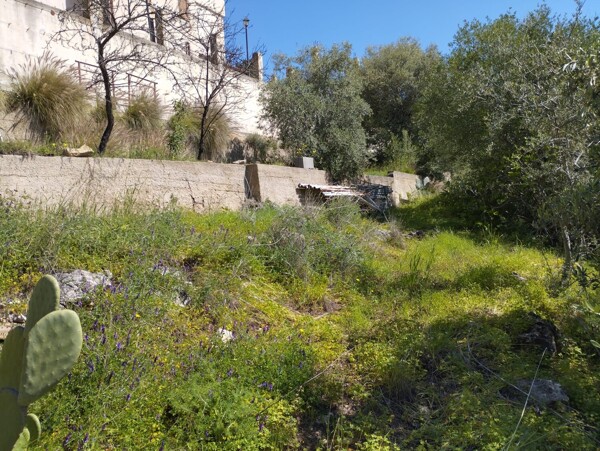 TERRENO CONTRADA MONTAGNA GRANDE - MISILMERI — foto 4