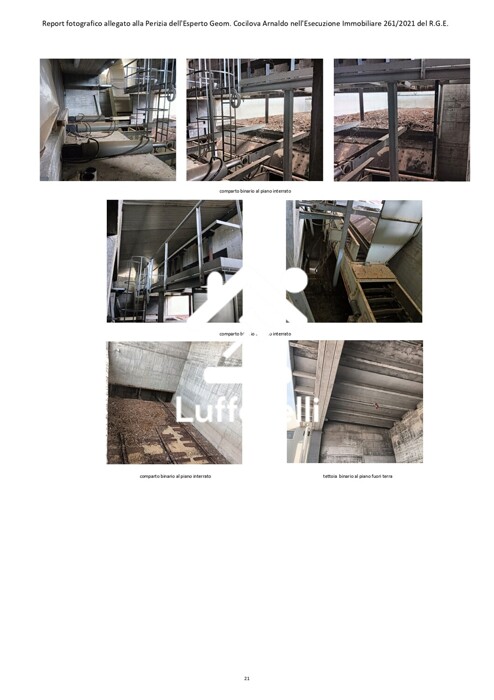 Immagine di STRUTTURE AGRICOLE VIA SANT ISIDORO – SABAUDIA