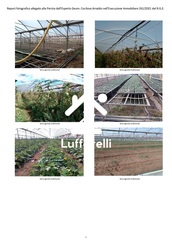 Immagine di STRUTTURE AGRICOLE VIA SANT ISIDORO – SABAUDIA